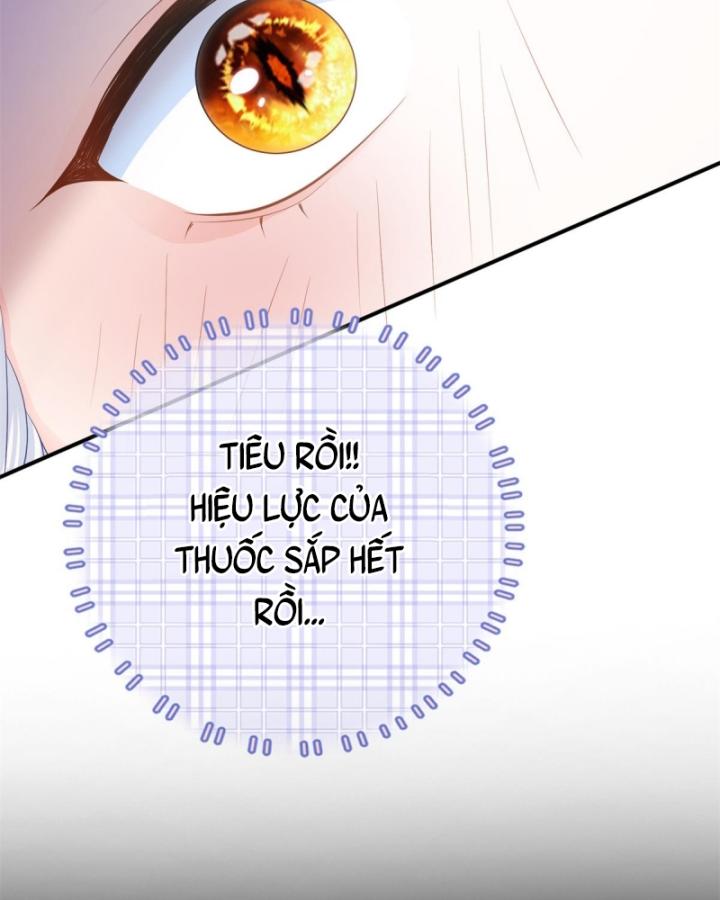 Bé Rồng Đột Kích! Mami Vừa Cay Vừa Độc Chapter 14 - 19