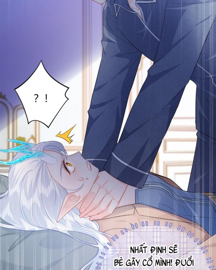 Bé Rồng Đột Kích! Mami Vừa Cay Vừa Độc Chapter 14 - 24