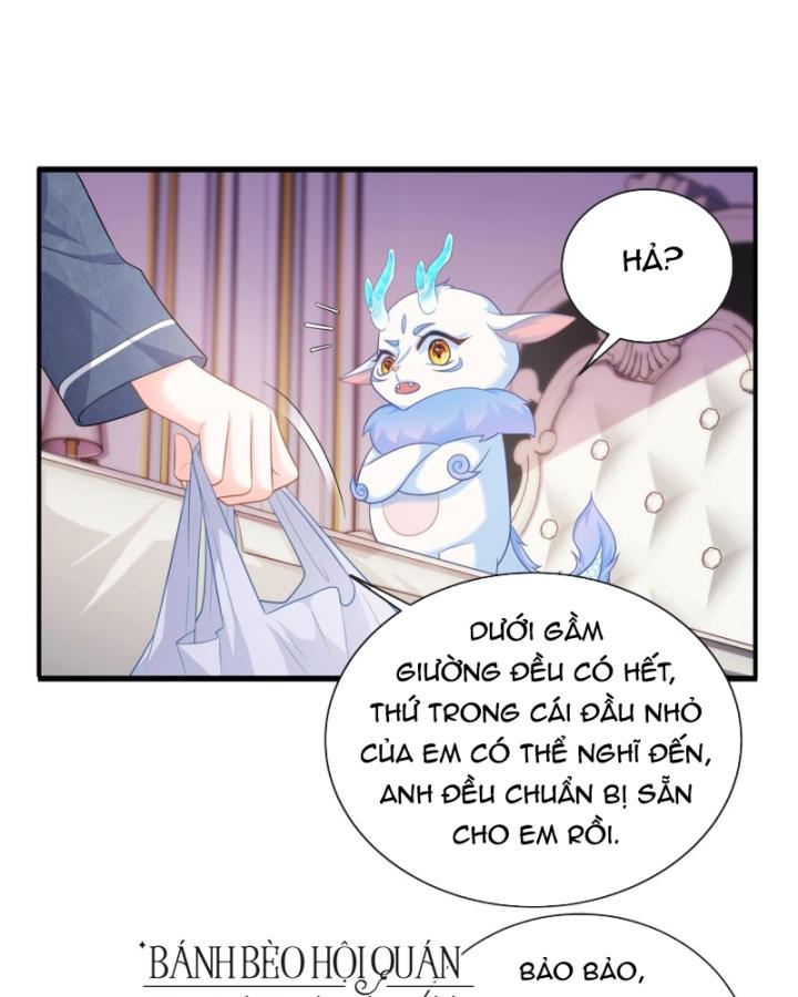 Bé Rồng Đột Kích! Mami Vừa Cay Vừa Độc Chapter 14 - 46