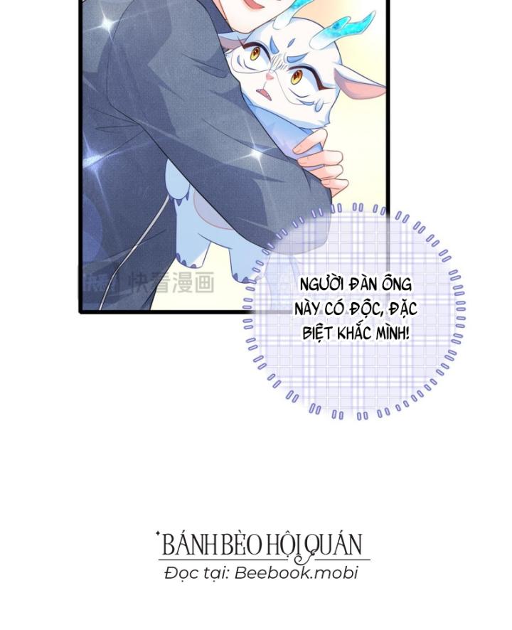 Bé Rồng Đột Kích! Mami Vừa Cay Vừa Độc Chapter 14 - 49