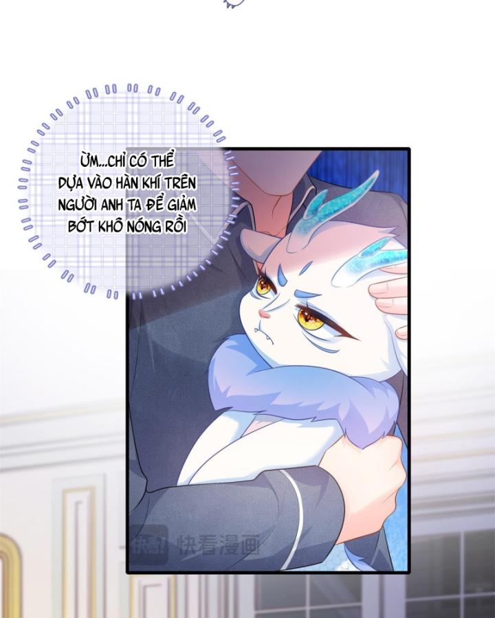 Bé Rồng Đột Kích! Mami Vừa Cay Vừa Độc Chapter 15 - 13