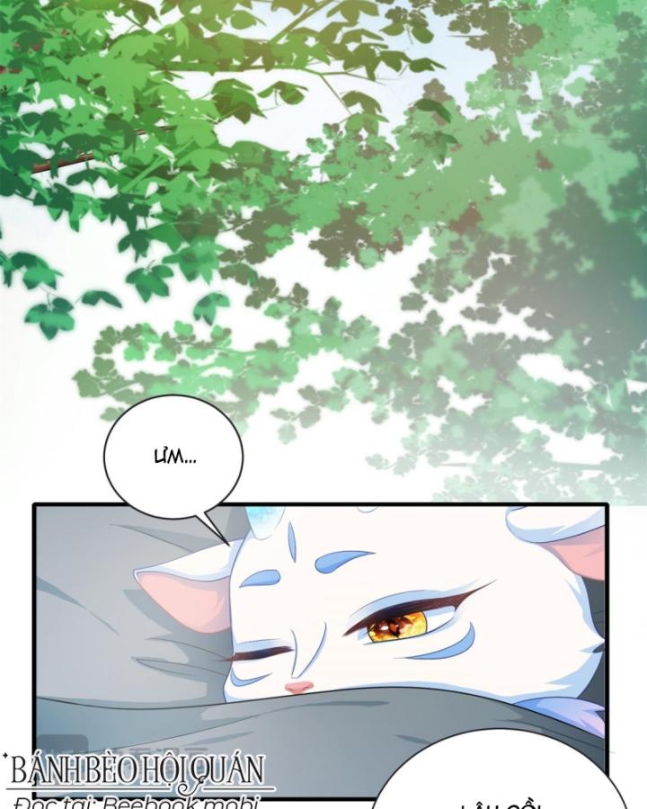 Bé Rồng Đột Kích! Mami Vừa Cay Vừa Độc Chapter 15 - 23