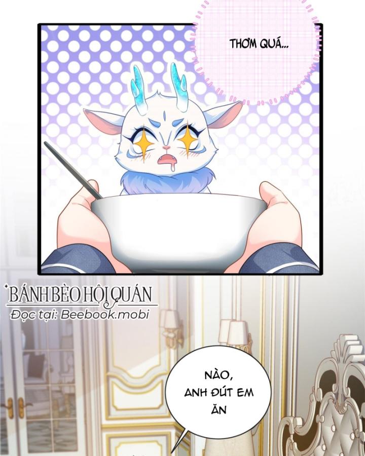 Bé Rồng Đột Kích! Mami Vừa Cay Vừa Độc Chapter 15 - 35