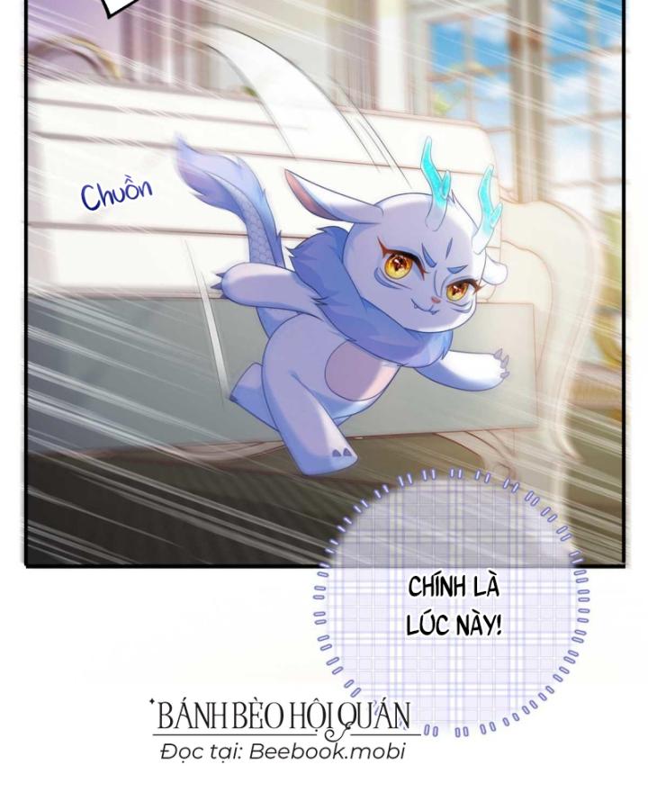 Bé Rồng Đột Kích! Mami Vừa Cay Vừa Độc Chapter 17 - 31