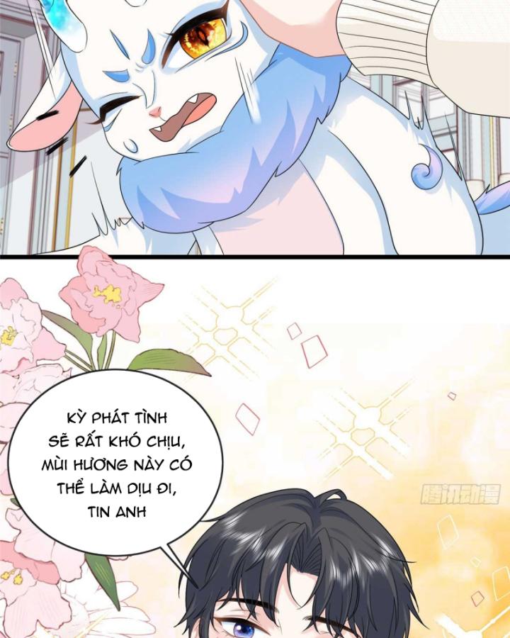 Bé Rồng Đột Kích! Mami Vừa Cay Vừa Độc Chapter 25 - 49