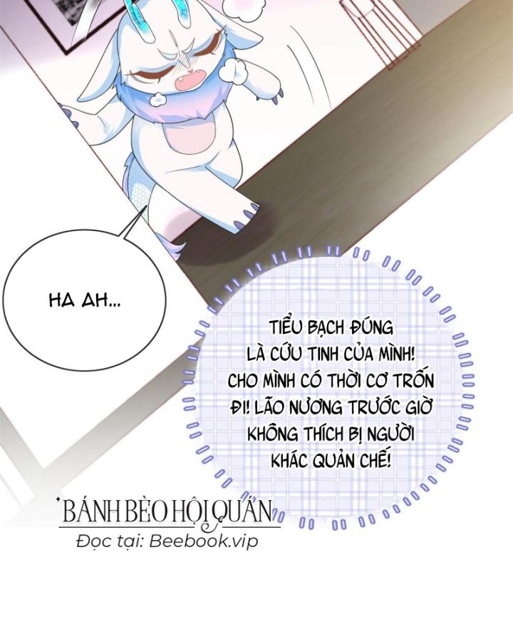 Bé Rồng Đột Kích! Mami Vừa Cay Vừa Độc Chapter 26 - 44