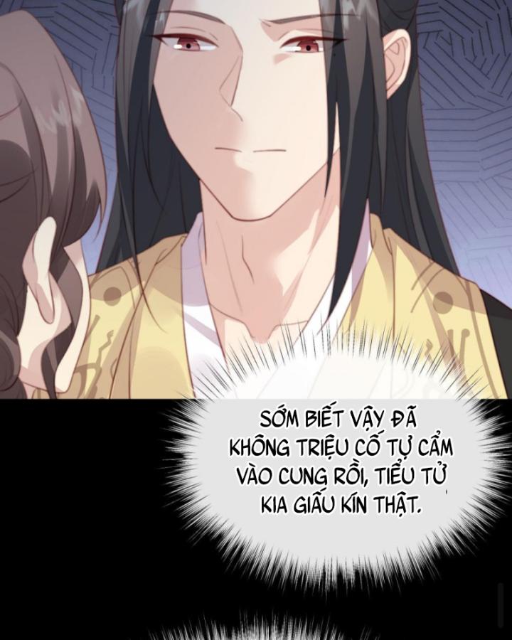 Bắt Ta Làm Cung Nữ? Ta Liền Cho Bạo Quân Quỳ Ván Giặt Đồ!!!! Chapter 241 - Trang 2