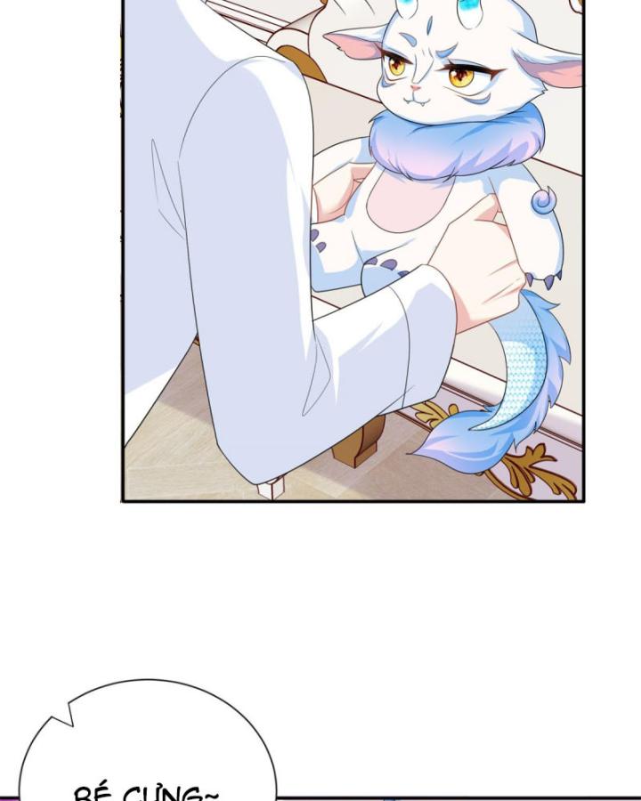 Bé Rồng Đột Kích! Mami Vừa Cay Vừa Độc Chapter 46 - 43