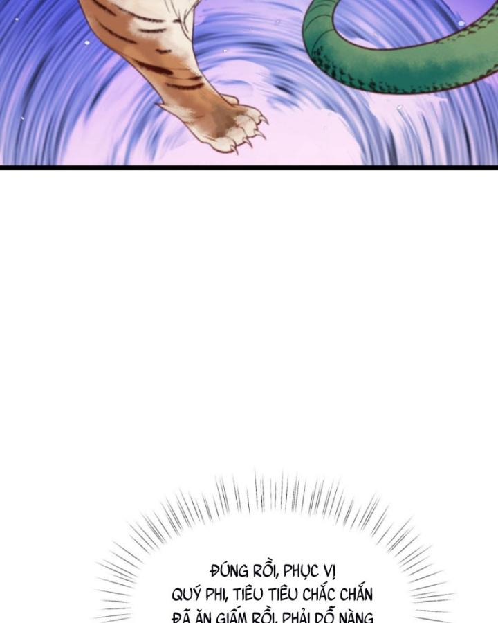 Bắt Ta Làm Cung Nữ? Ta Liền Cho Bạo Quân Quỳ Ván Giặt Đồ!!!! Chapter 255 - Trang 2