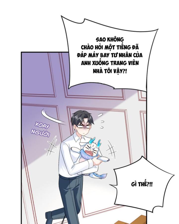 Bé Rồng Đột Kích! Mami Vừa Cay Vừa Độc Chapter 47 - 35