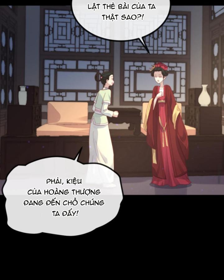 Bắt Ta Làm Cung Nữ? Ta Liền Cho Bạo Quân Quỳ Ván Giặt Đồ!!!! Chapter 256 - Trang 2