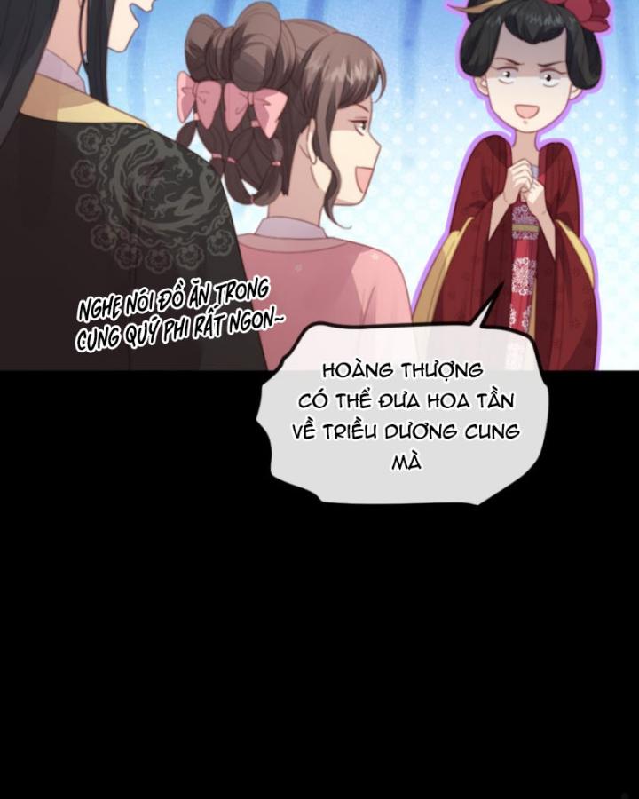 Bắt Ta Làm Cung Nữ? Ta Liền Cho Bạo Quân Quỳ Ván Giặt Đồ!!!! Chapter 256 - Trang 2