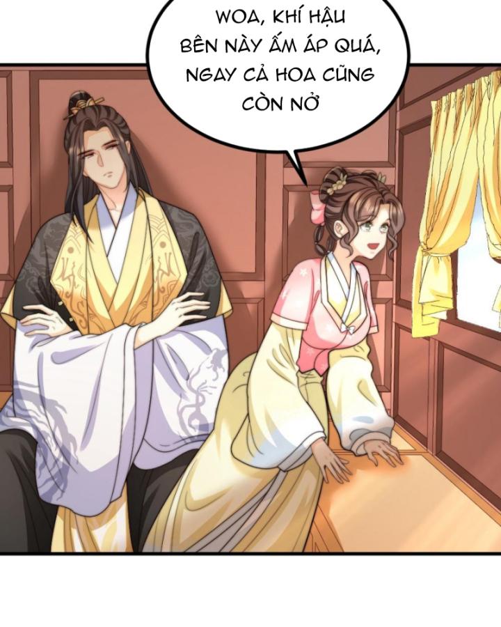 Bắt Ta Làm Cung Nữ? Ta Liền Cho Bạo Quân Quỳ Ván Giặt Đồ!!!! Chapter 260 - Trang 2