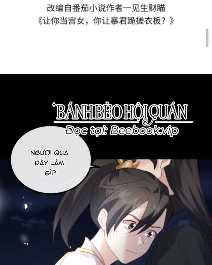 Bắt Ta Làm Cung Nữ? Ta Liền Cho Bạo Quân Quỳ Ván Giặt Đồ!!!! Chapter 262 - Trang 2