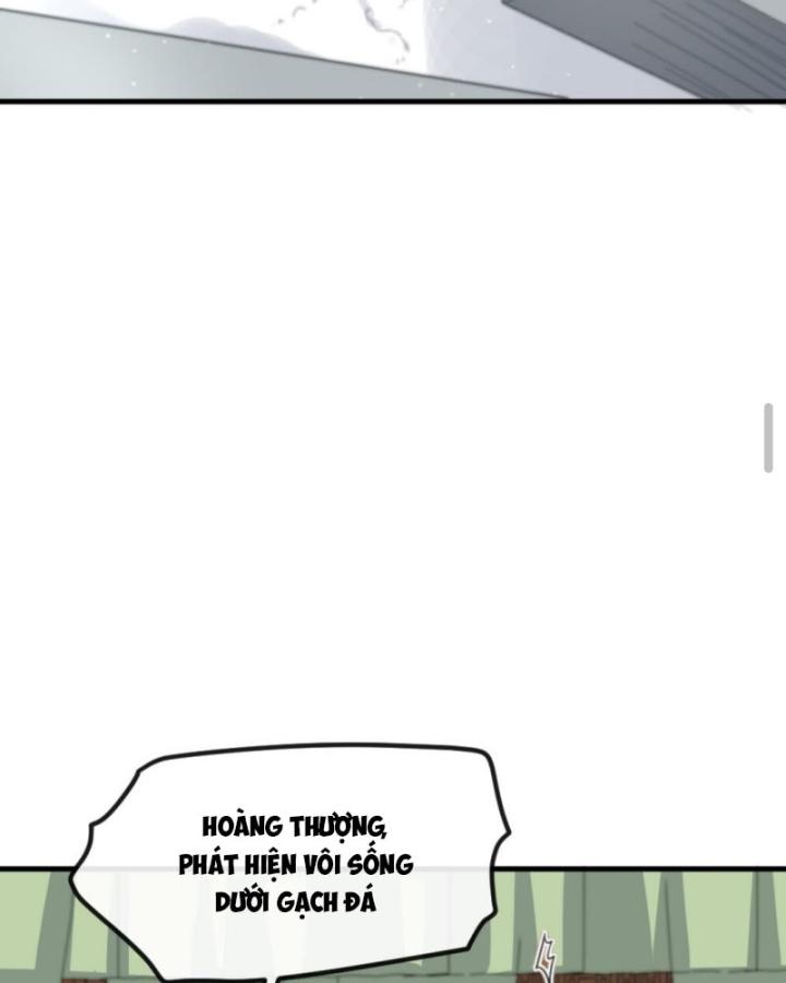 Bắt Ta Làm Cung Nữ? Ta Liền Cho Bạo Quân Quỳ Ván Giặt Đồ!!!! Chapter 267 - Trang 2