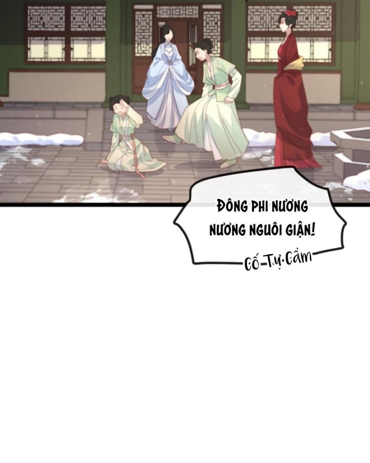 Bắt Ta Làm Cung Nữ? Ta Liền Cho Bạo Quân Quỳ Ván Giặt Đồ!!!! Chapter 269 - Trang 2