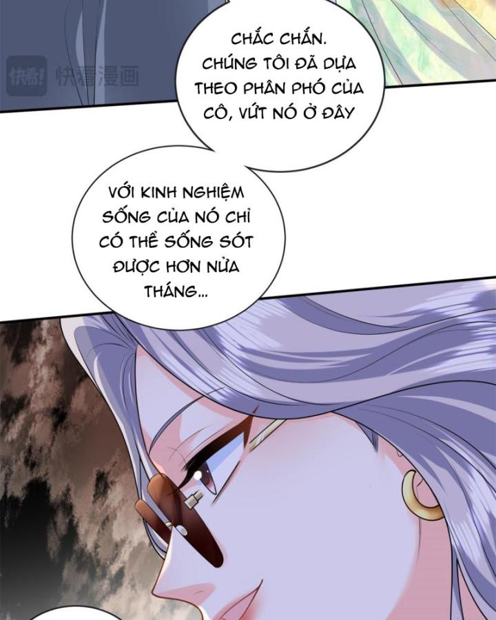 Bé Rồng Đột Kích! Mami Vừa Cay Vừa Độc Chapter 62 - 56