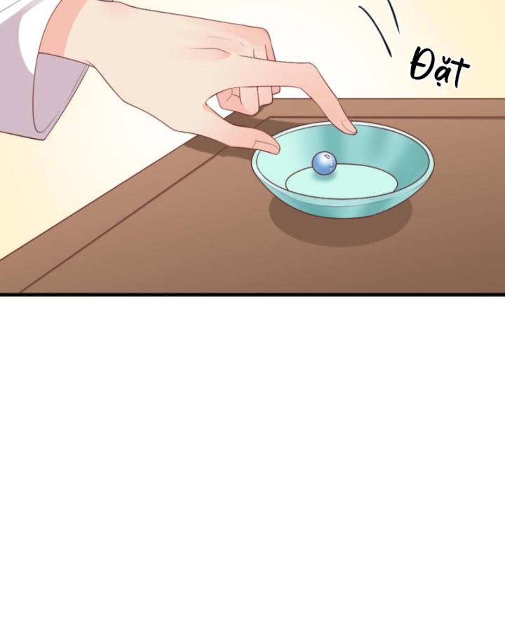 Bắt Ta Làm Cung Nữ? Ta Liền Cho Bạo Quân Quỳ Ván Giặt Đồ!!!! Chapter 293 - Trang 2