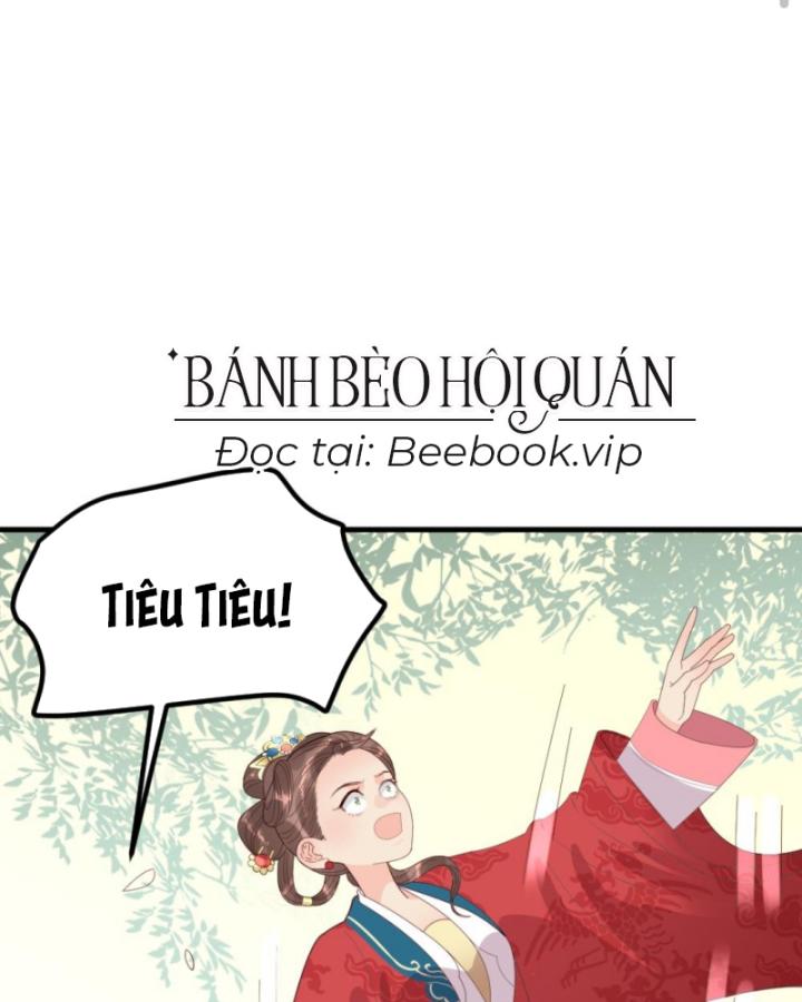 Bắt Ta Làm Cung Nữ? Ta Liền Cho Bạo Quân Quỳ Ván Giặt Đồ!!!! Chapter 296 - Trang 2