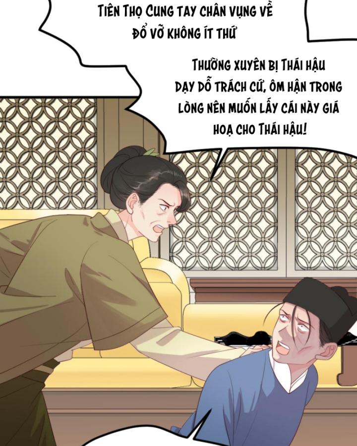 Bắt Ta Làm Cung Nữ? Ta Liền Cho Bạo Quân Quỳ Ván Giặt Đồ!!!! Chapter 300 - Trang 2