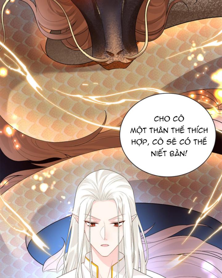 Bé Rồng Đột Kích! Mami Vừa Cay Vừa Độc Chapter 73 - 47