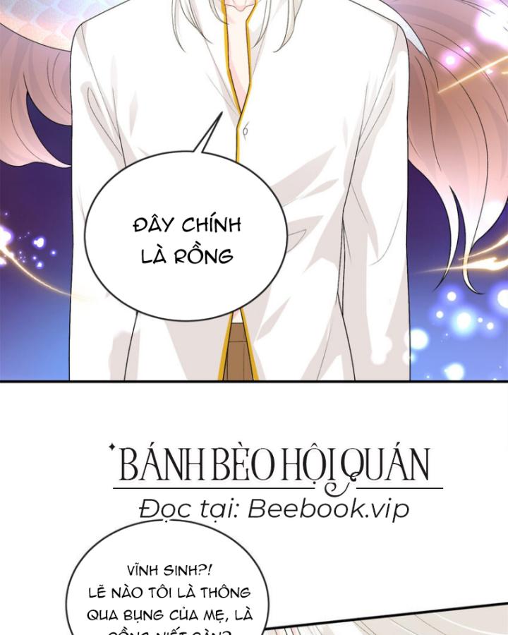 Bé Rồng Đột Kích! Mami Vừa Cay Vừa Độc Chapter 73 - 48