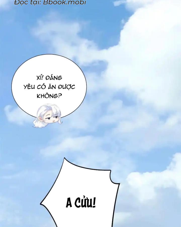 Bé Rồng Đột Kích! Mami Vừa Cay Vừa Độc Chapter 91 - 52