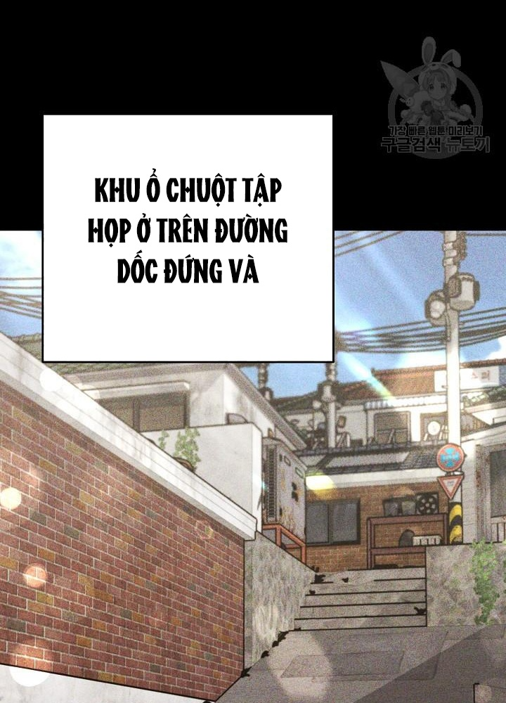 Sống Lại Lần Nữa Chapter 34 - 88