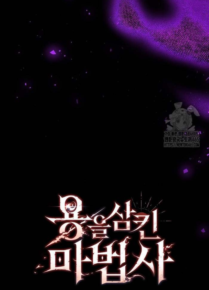 Thực Long Ma Pháp Sư Chapter 81 - 231