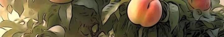 Đấu Yếm Thần Chapter 379 - 154