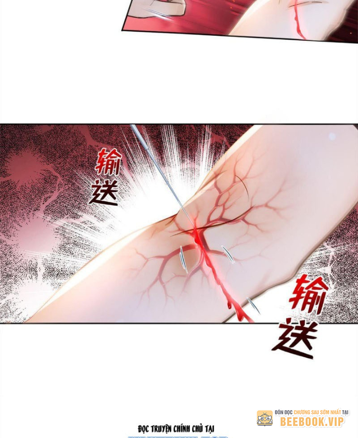 Trấn Quốc Thần Tế Chapter 282 - Trang 2