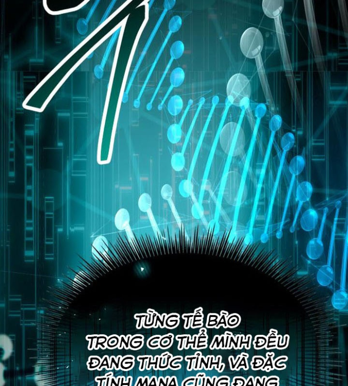 Kim Chiến Sĩ: Hành Trình Xây Dựng Đặc Tính Chapter 43 - 203