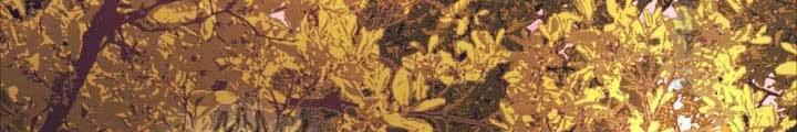 Thiên Tài Võ Thuật Hồi Quy Chapter 103 - 162