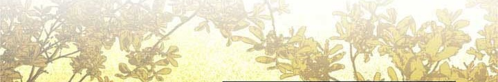 Thiên Tài Võ Thuật Hồi Quy Chapter 103 - 186