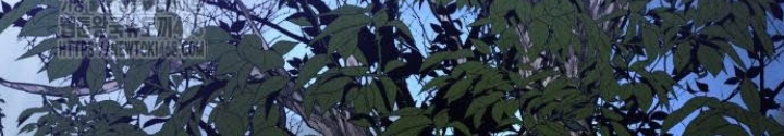 Tuyệt Đối Dân Cư Chapter 43 - 204