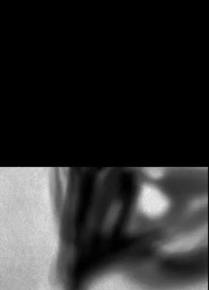 Phong Yêu Vấn Đạo Chapter 203 - 463