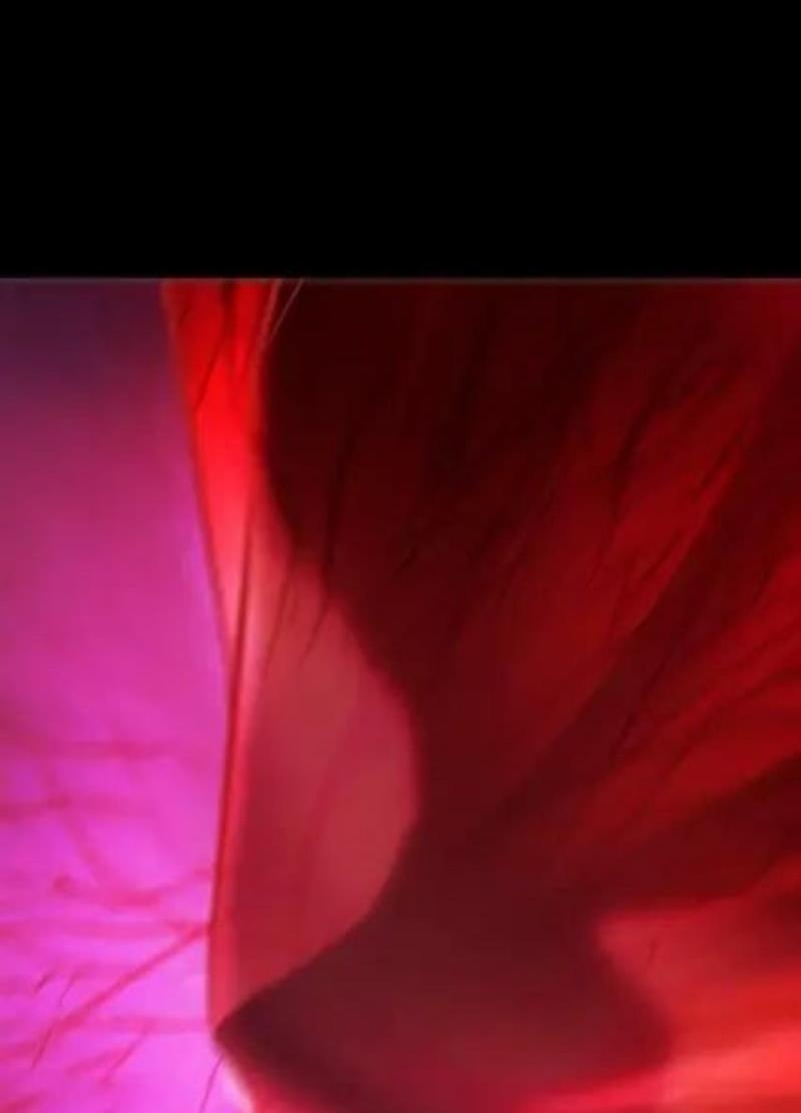 Phong Yêu Vấn Đạo Chapter 203 - 499