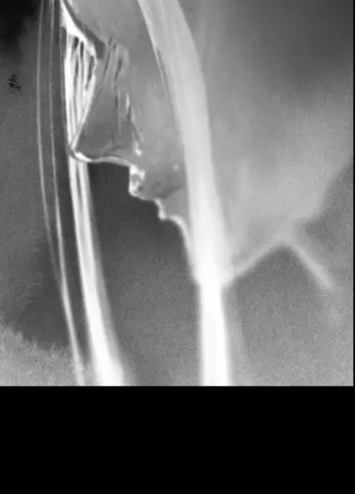 Phong Yêu Vấn Đạo Chapter 203 - 467