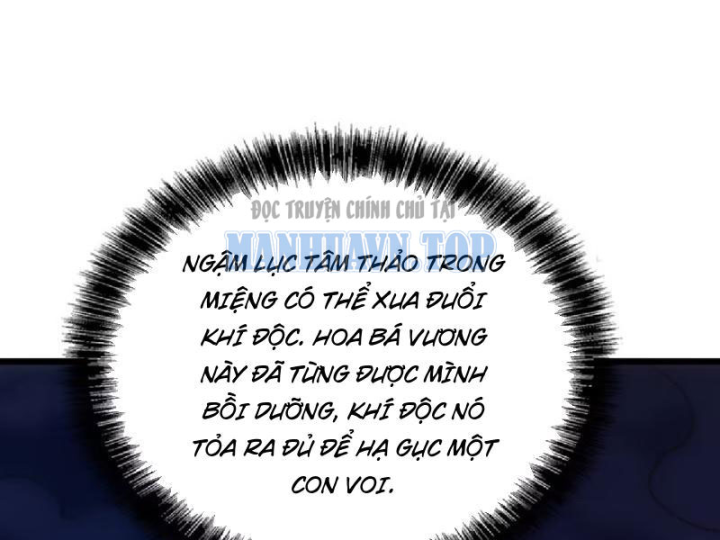 Tối Cường Khí Thiếu Chapter 19 - 68