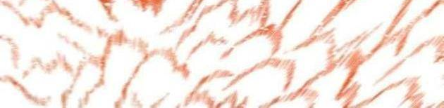 Tôi Chỉ Là Người Khuân Vác Trong Hầm Ngục Chapter 49 - 104