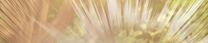 Thần Thịnh Vượng Chapter 27 - 148