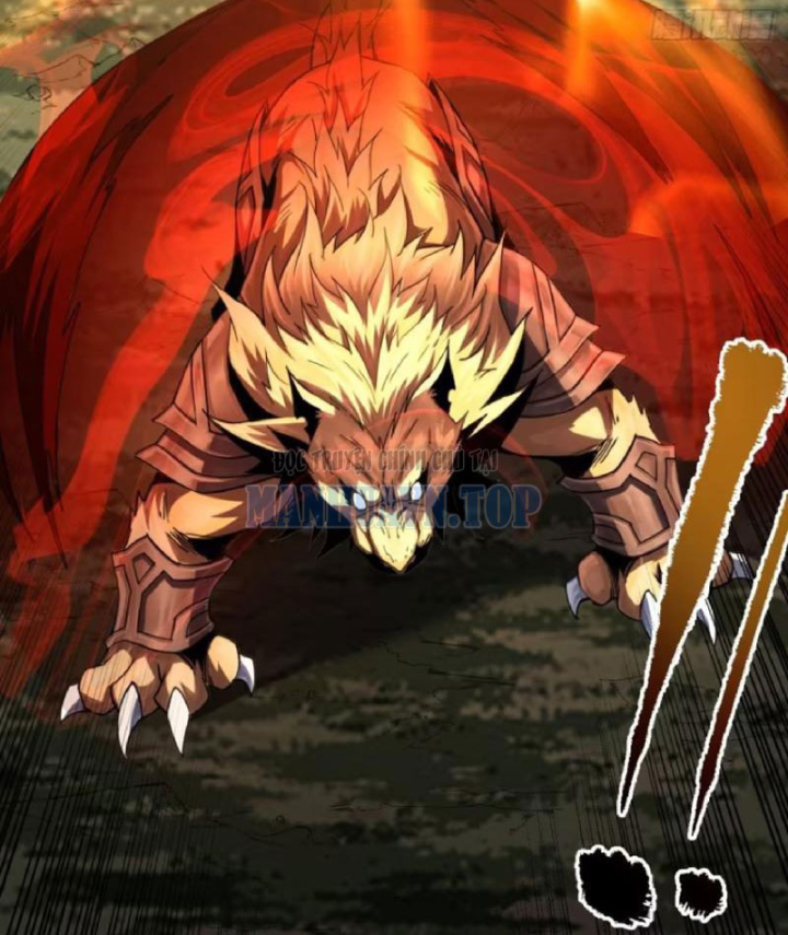 Mệnh Luân Chi Chủ! Khi Dị Biến Giáng Lâm Nhân Gian! Chapter 205 - 46