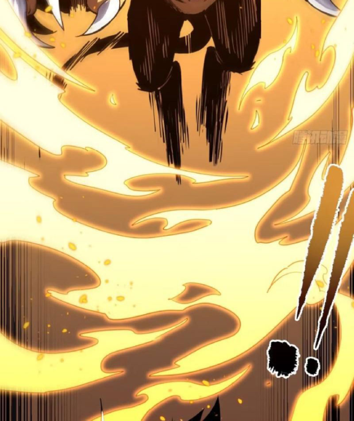 Mệnh Luân Chi Chủ! Khi Dị Biến Giáng Lâm Nhân Gian! Chapter 205 - 19