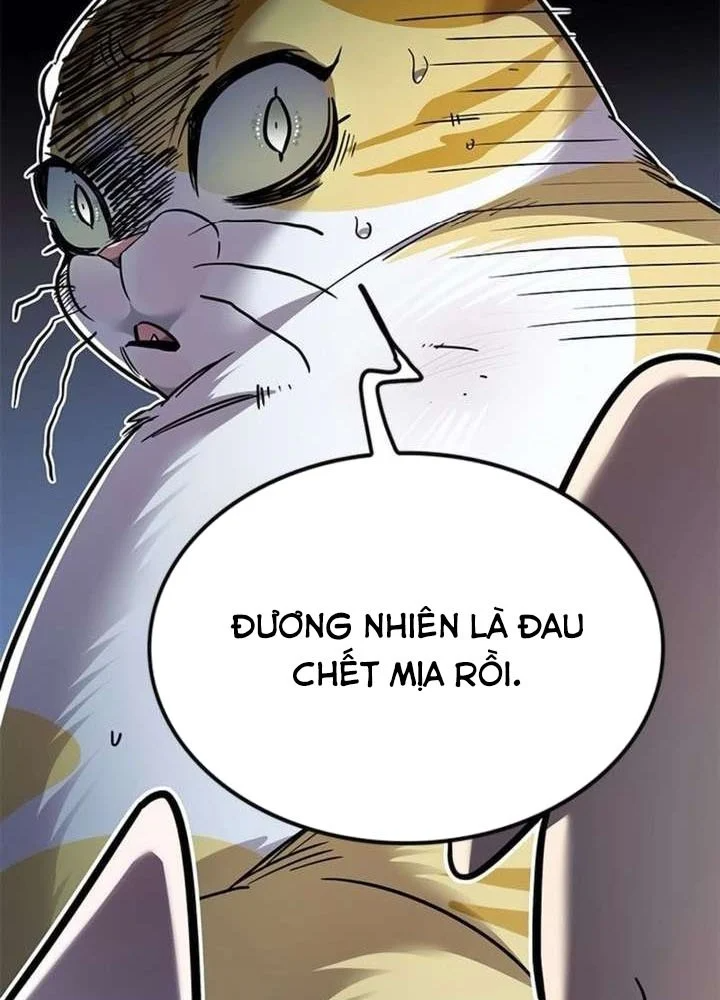 Hoá Thân Thành Mèo Chapter 389 - 11