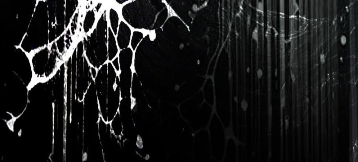 Biệt Bảo Quỷ Sự Lục Chapter 29 - 438