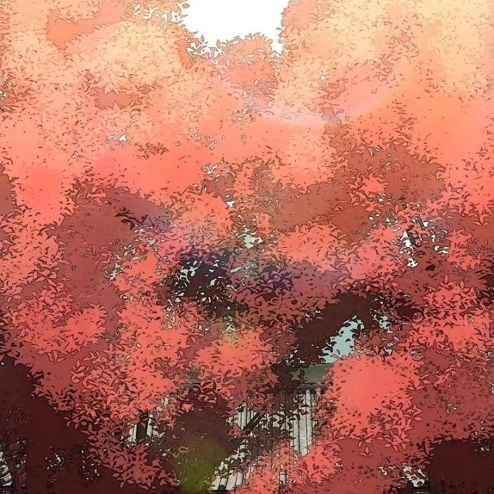 Đường Môn Truyền Kỳ Chapter 37 - 138