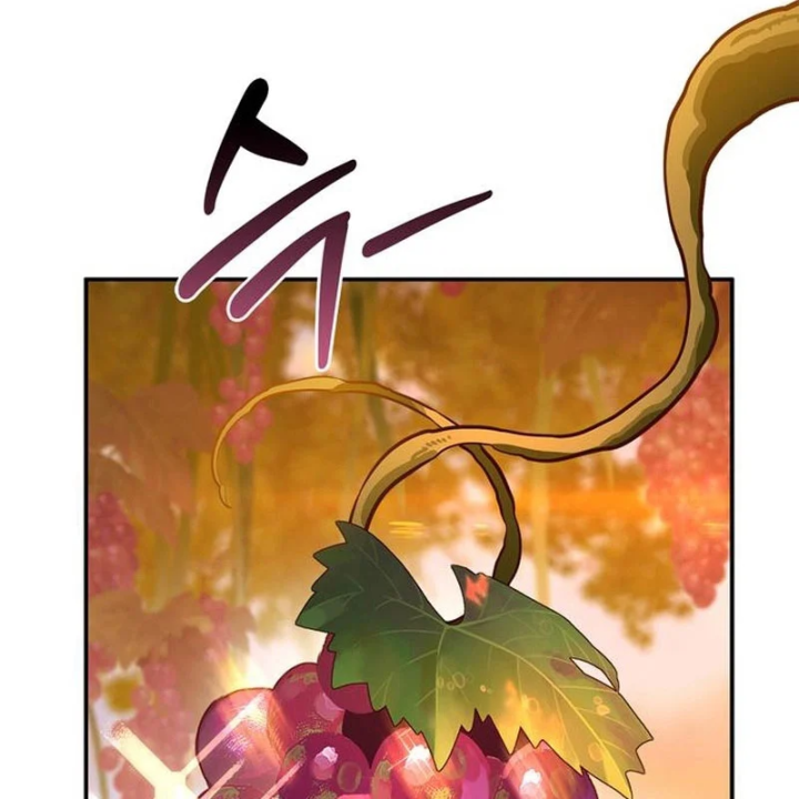 Healer Cấp S Chữa Trị Cho Quái Vật Chapter 36 - 72