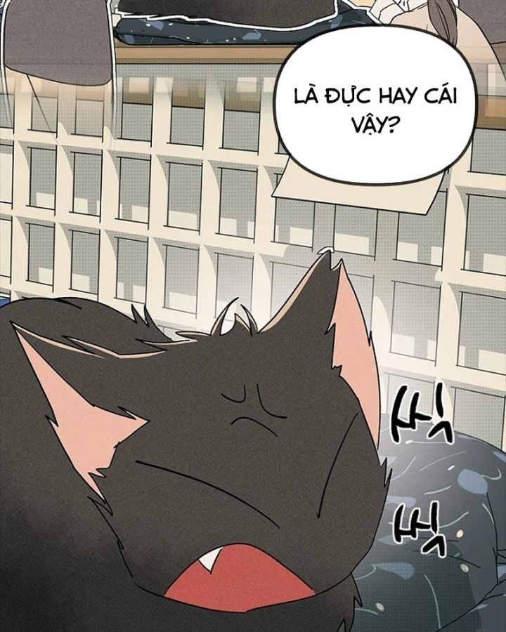 Thiếu Nữ Hoàng Đạo Chapter 33 - 85