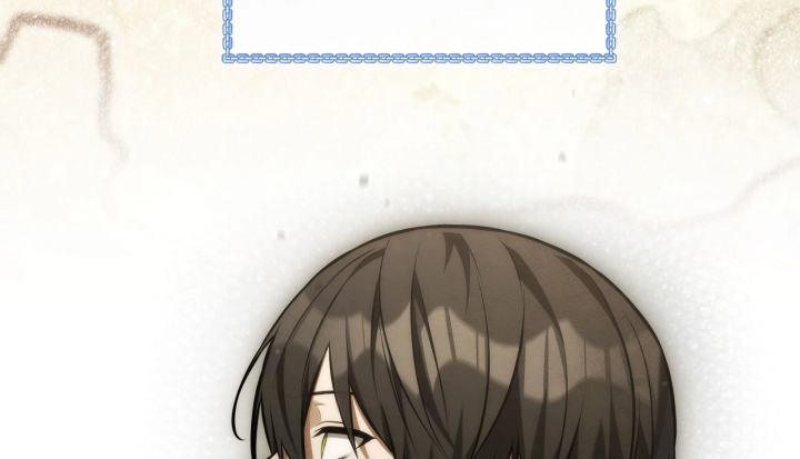 Thiếu Gia Chủ Của Gia Tộc Tử Linh Sư Chapter 63 - 227