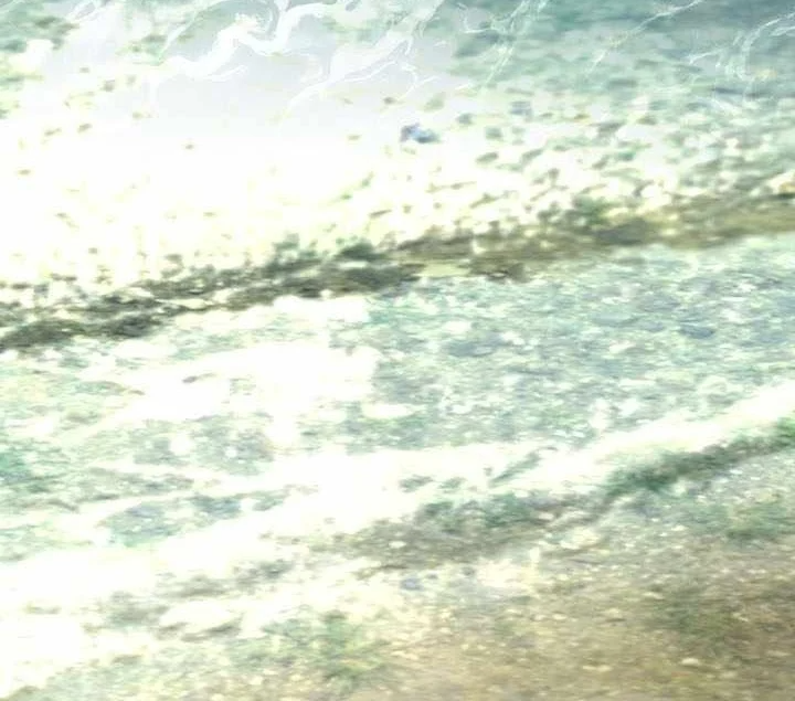 Trở Thành Man Di Ở Thế Giới Fantasy Chapter 50 - 4